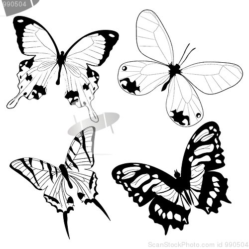 Image of Butterflies
