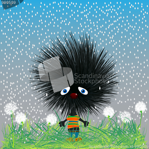 Image of sad hedgehod 