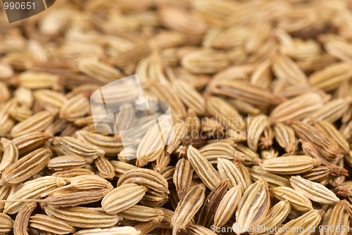 Image of Fennel seeds