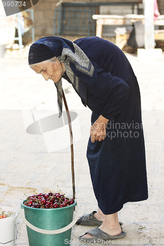 Image of Senior woman and bucket of cherry