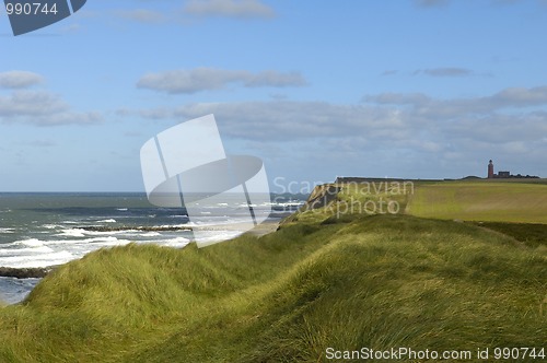 Image of Coast near Ferring