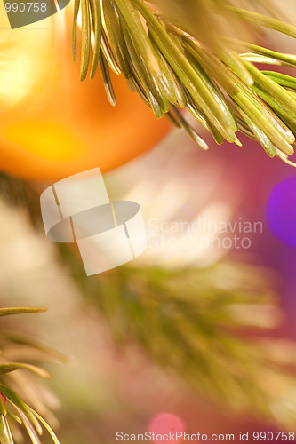 Image of The golden christmas ball hangs on a pine branch