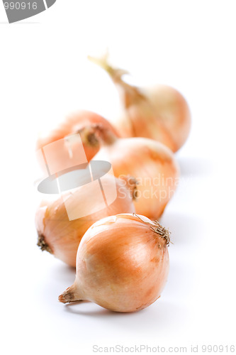 Image of five ripe onions