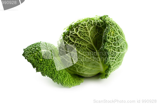 Image of fresh savoy cabbage