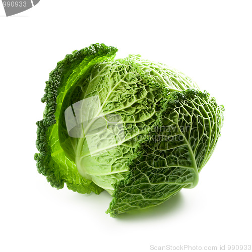 Image of fresh savoy cabbage