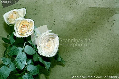 Image of flower background