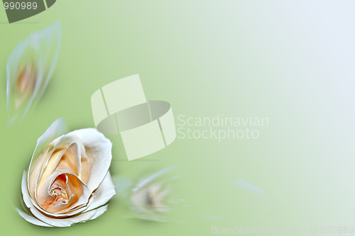 Image of flower background