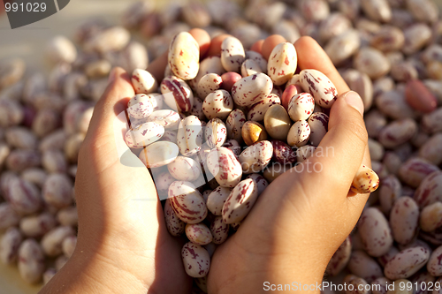 Image of Sharing some food