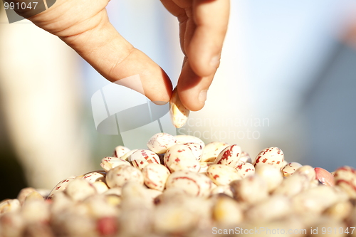 Image of Sharing some food