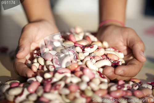 Image of Sharing some food