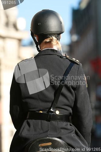 Image of Police on horse