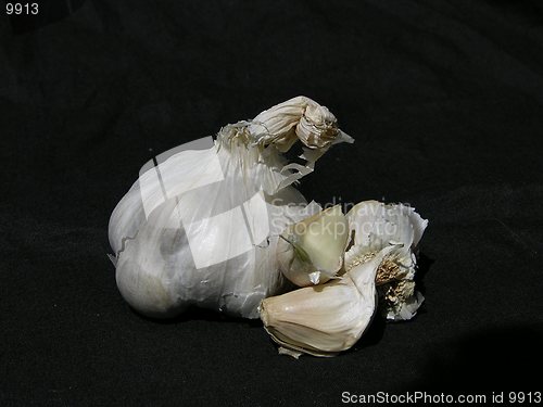 Image of Garlic