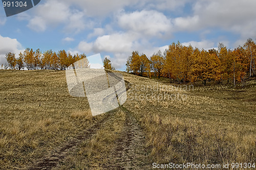 Image of A dirt road on the hill