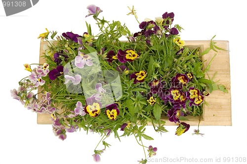 Image of A wooden tray with pansies