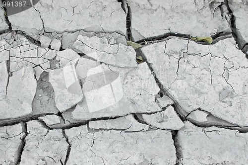 Image of Cracked earth