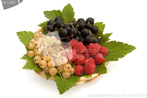 Image of Currants and raspberries