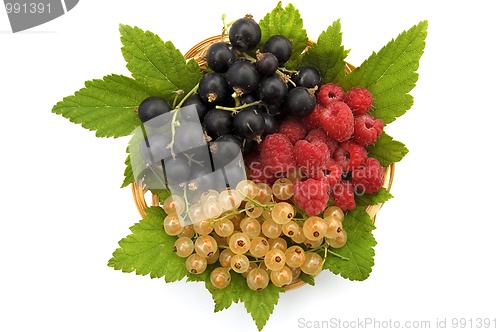 Image of Currants and raspberries in the basket