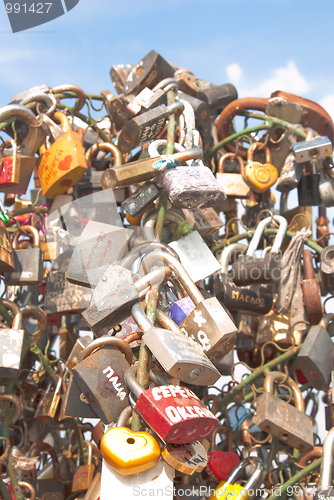 Image of Tree from locks