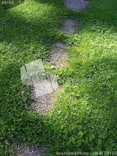 Image of Stone path in the green grass
