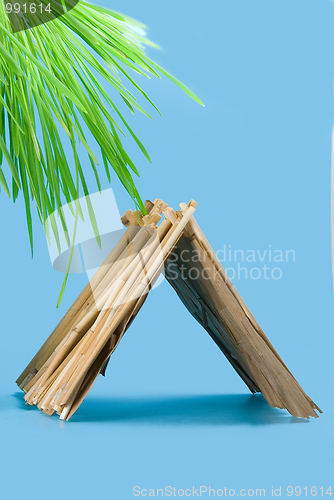 Image of straw hut