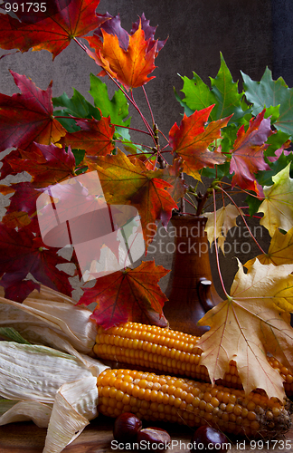 Image of Autumn Still Life