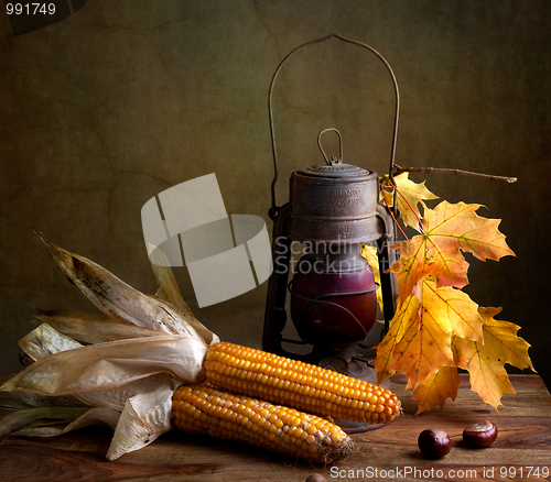 Image of Autumn Still Life