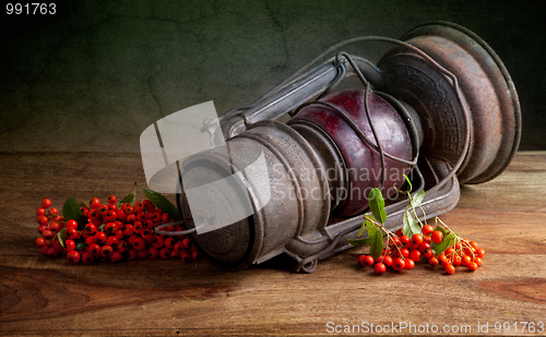 Image of Autumn Still Life