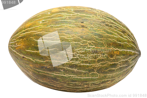 Image of Melon