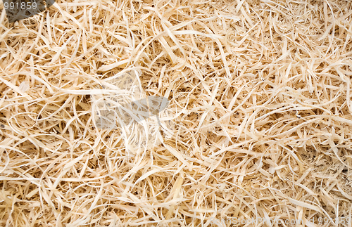 Image of sawdust