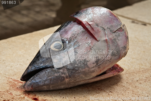 Image of fish head