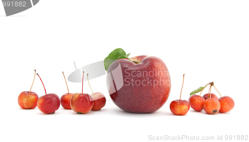 Image of Big and small apples on white background