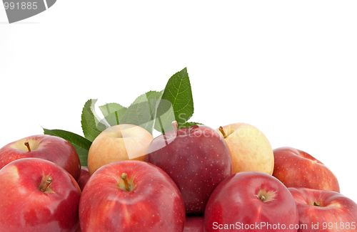 Image of Variety of red and yellow apples with leaves