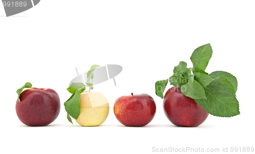 Image of Row of apples with leaves on white background
