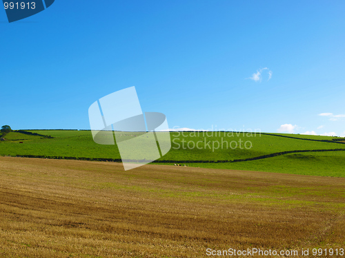 Image of Cardross hill