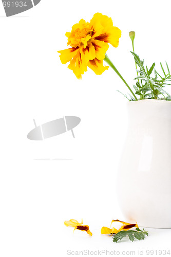Image of marigold flowers in vase