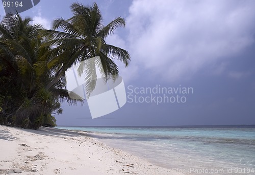 Image of Tropical island beach