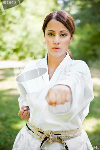 Image of Asian practicing karate