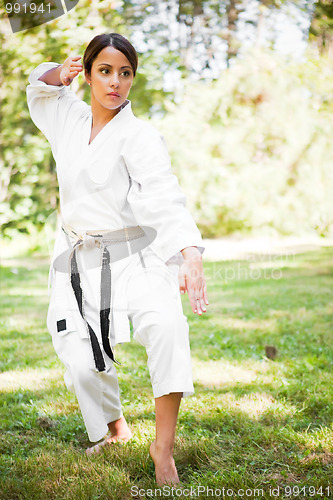 Image of Asian practicing karate