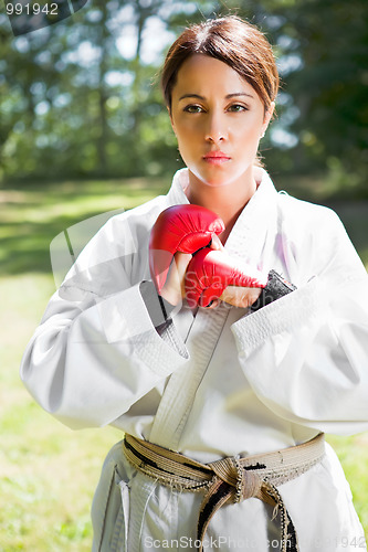 Image of Asian practicing karate
