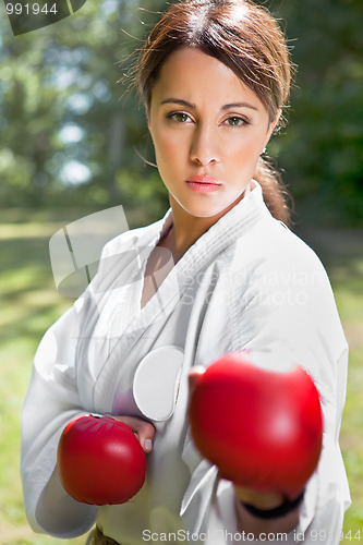 Image of Asian practicing karate