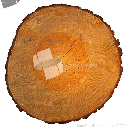 Image of Wood