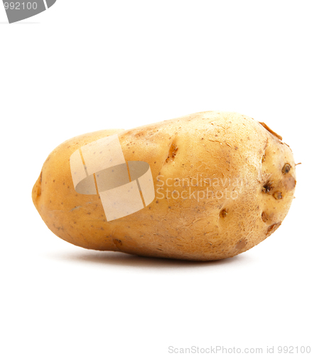 Image of potato