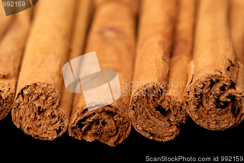 Image of Cinnamon sticks