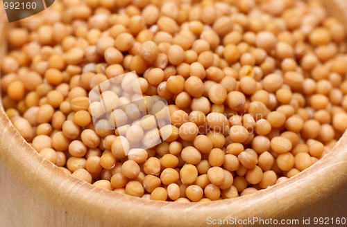 Image of Mustard seeds