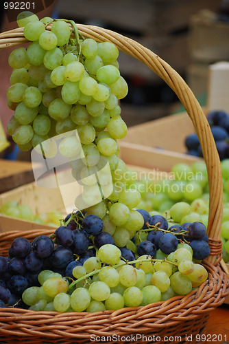 Image of Wine grapes in basket