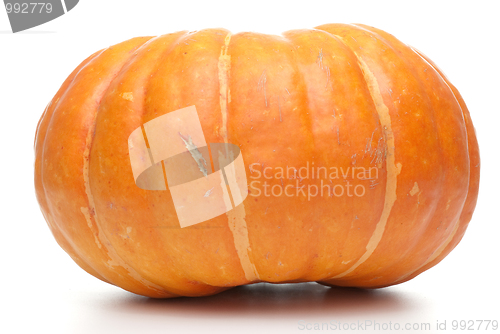 Image of Orange pumpkin 