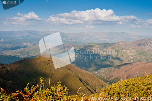 Image of Arouca