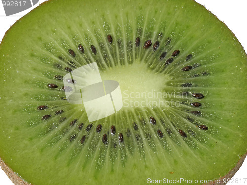 Image of Kiwi