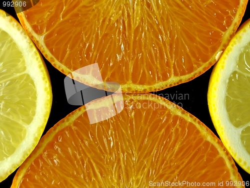 Image of Orangen und Zitronen