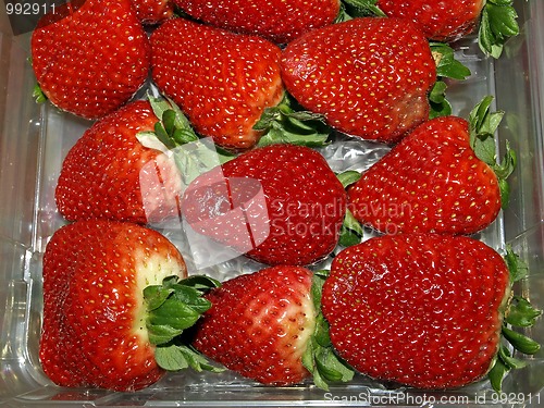 Image of Erdbeeren